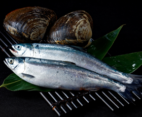 写真：チップと北寄貝