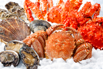 写真：釣きんきの刺身［網走産］